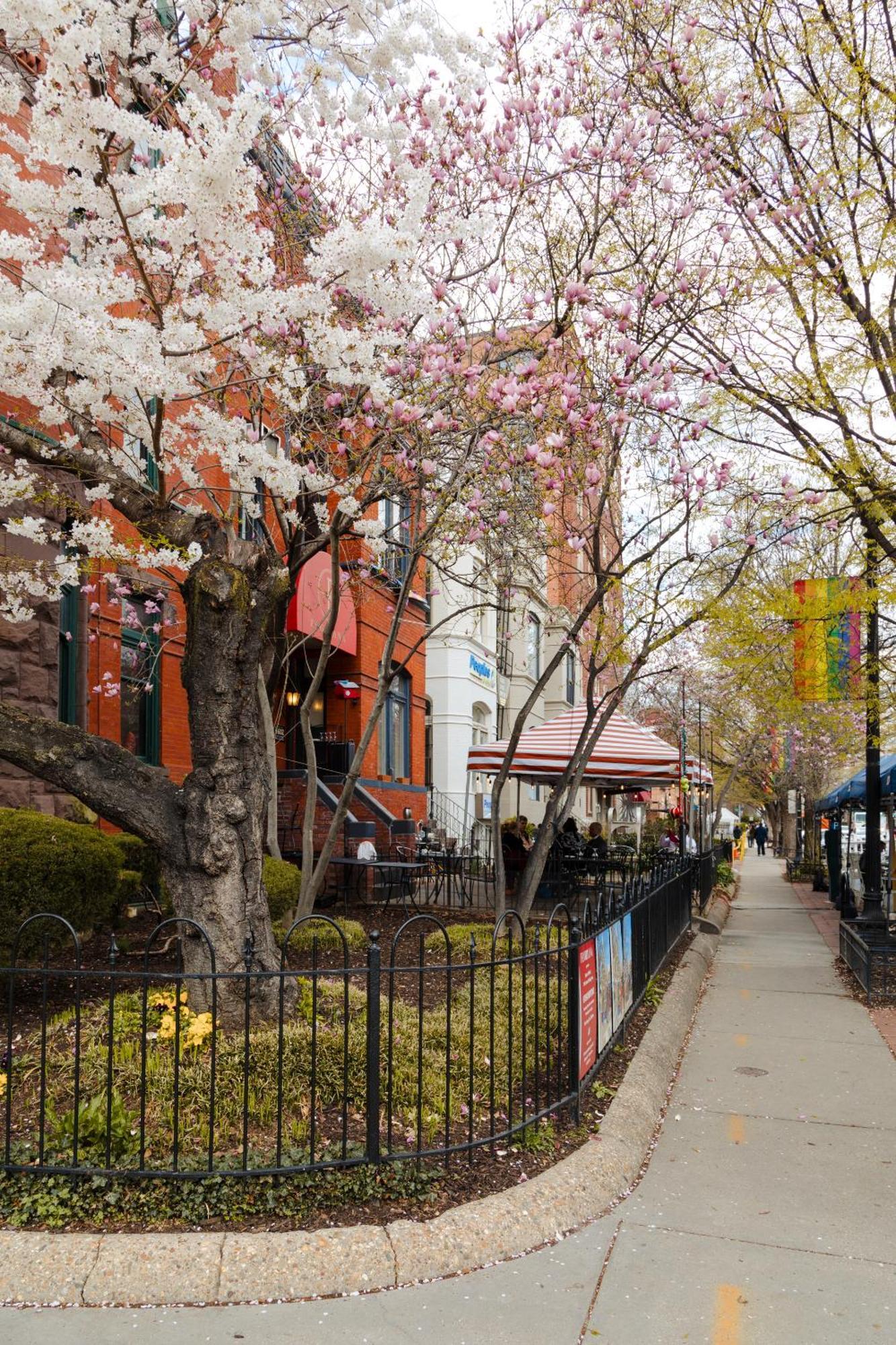 Dupont Circle Embassy Inn By Found Washington Dış mekan fotoğraf